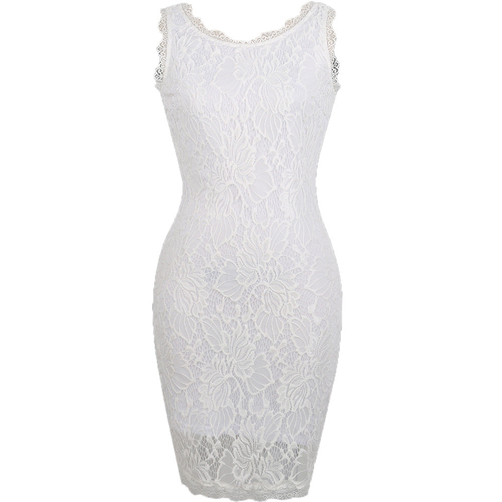 Embroidered Lace Sleeveless Sheath Dress