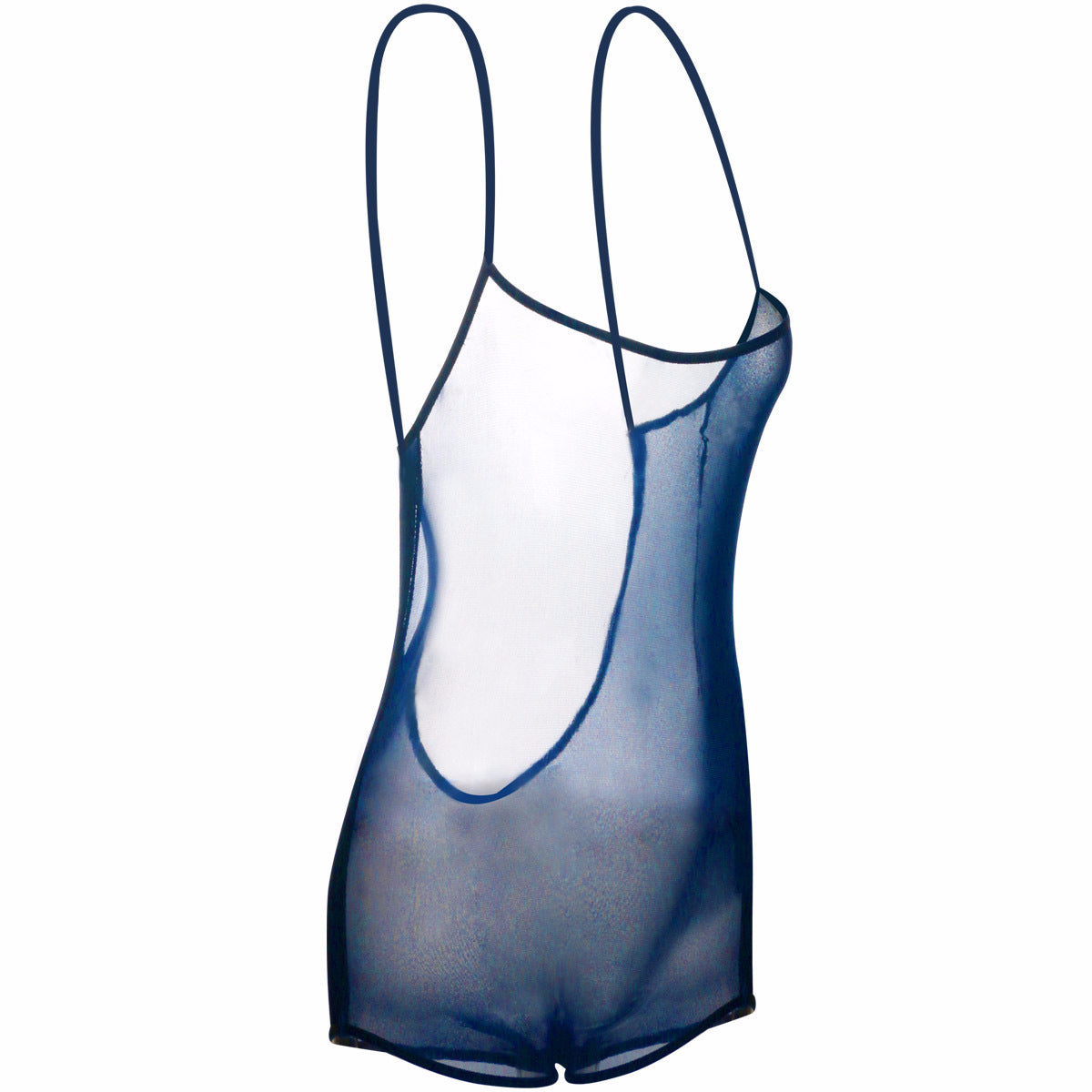 See Through Mesh Leotard Lingerie