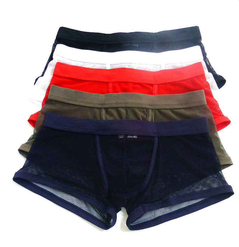 Sheer Mesh Boxer Briefs