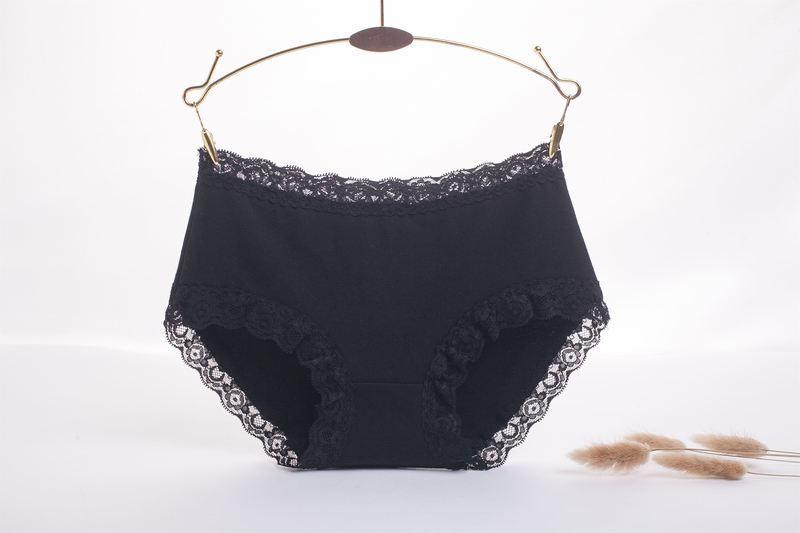 Lace Trim High Rise Hipster Panty - Theone Apparel